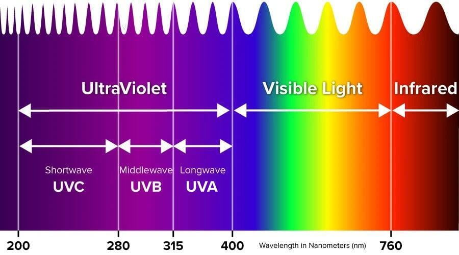 Impact of Different Wavelengths of Light on Plants City Greens